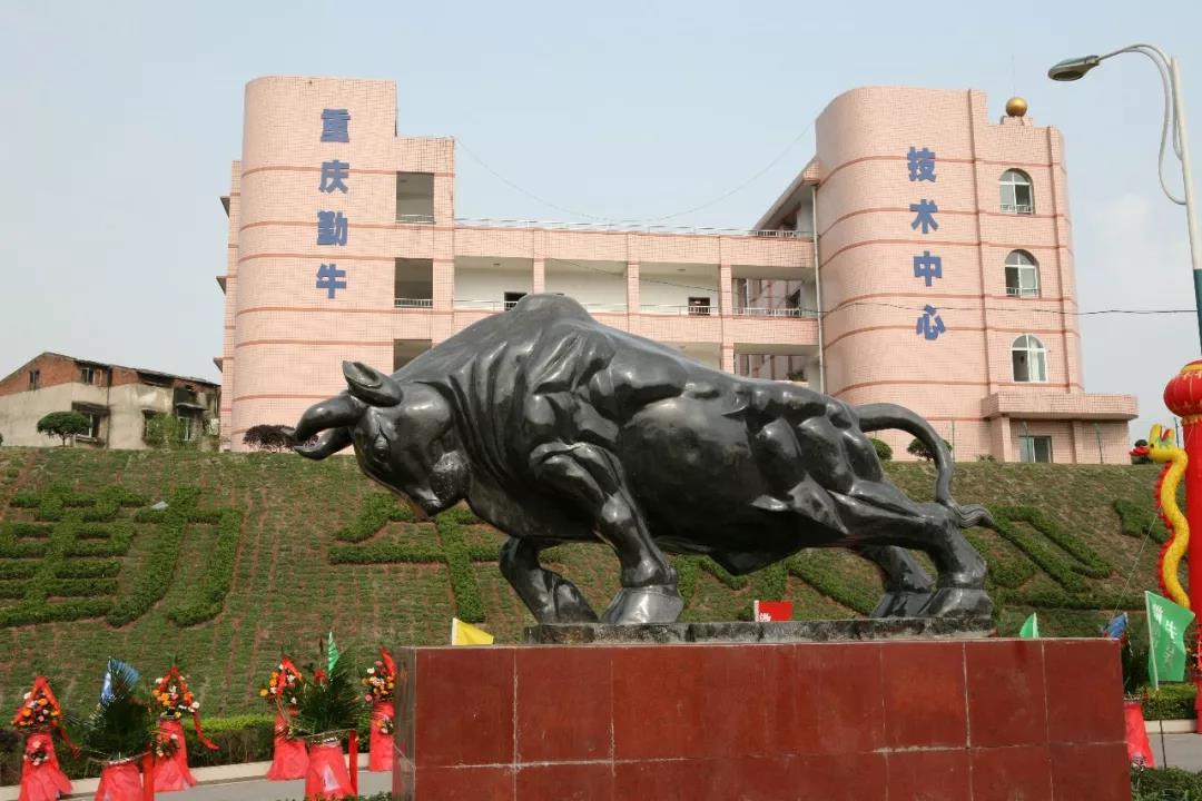 走進(jìn)勤牛陳列室,砥礪民企強(qiáng)國(guó)志 走進(jìn)勤牛陳列室,砥礪民企強(qiáng)國(guó)志