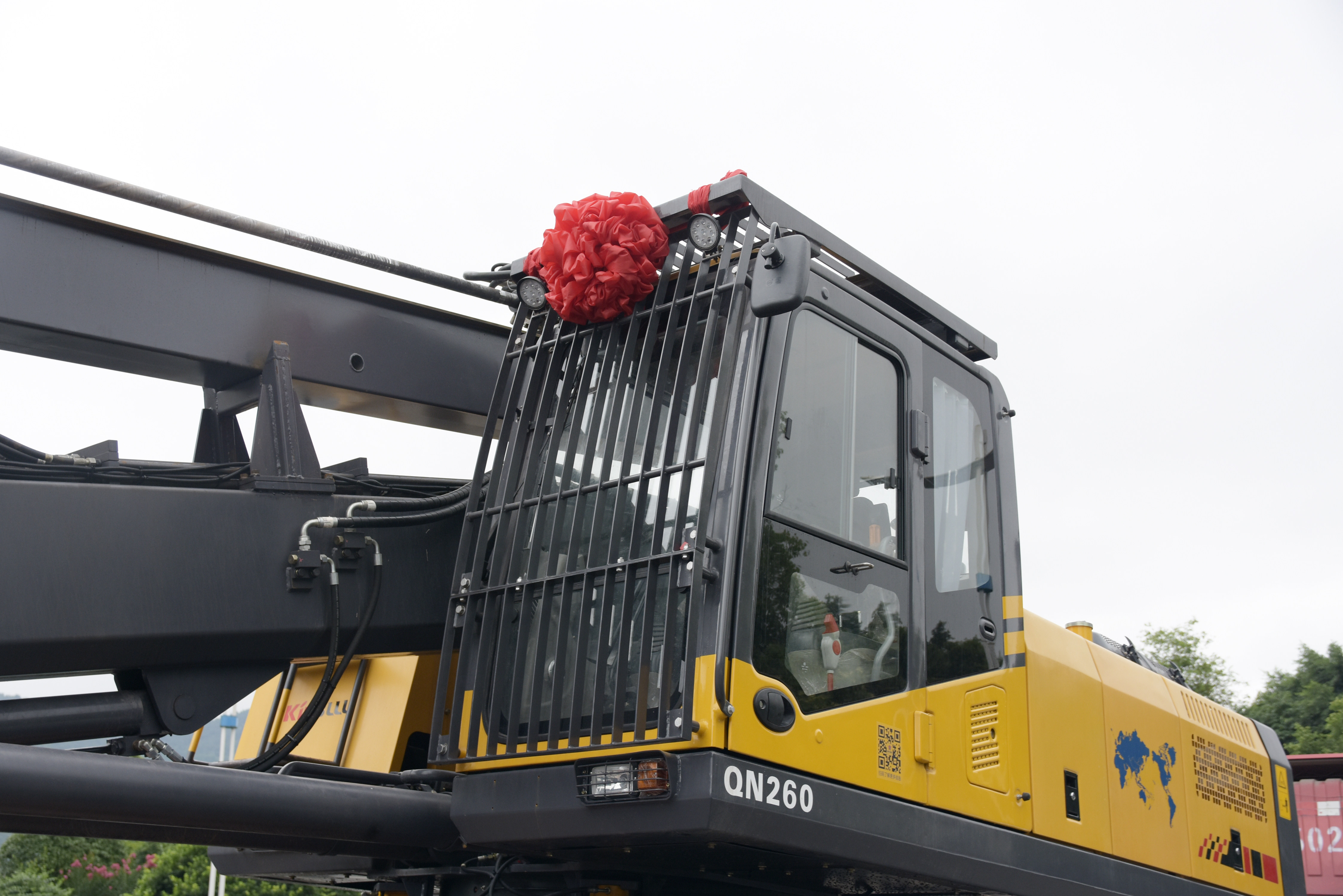 大紅花.JPG 大紅花.JPG